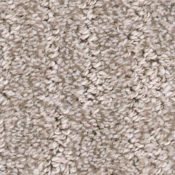 Carpet swatch | Dudley Moore Awning & Floor Covering Inc.